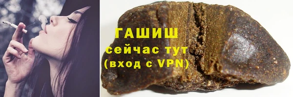индика Арсеньев