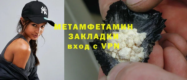 индика Арсеньев