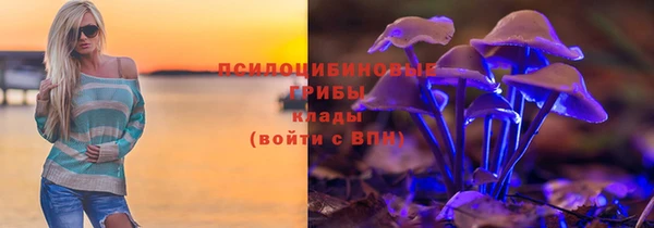 индика Арсеньев