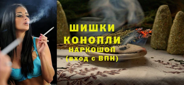 индика Арсеньев