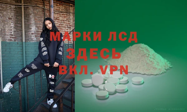 индика Арсеньев