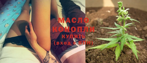 индика Арсеньев