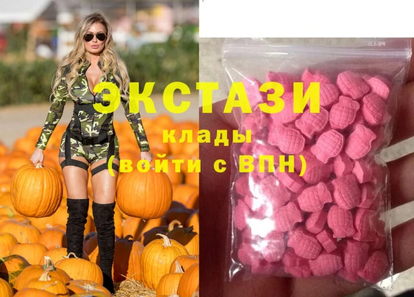 индика Арсеньев